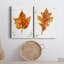 «Autumn Leaf Study I», toile tendue avec châssis de qualité supérieure - prête à être accrochée-1052592121