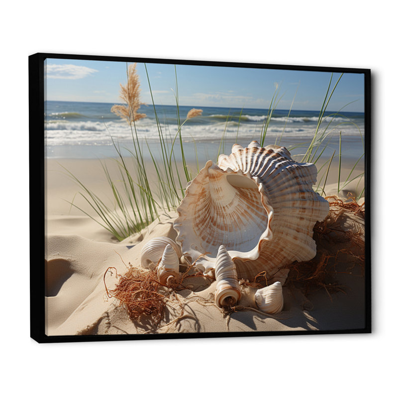 «Beach Photo Seashell Symphony I», reproduction d'art sur toile, H 34 po x l 44 po x P 1,5 po, Noir