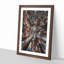 Redwood Forest California - Single Picture Frame Print on MDF-56864373-56864374