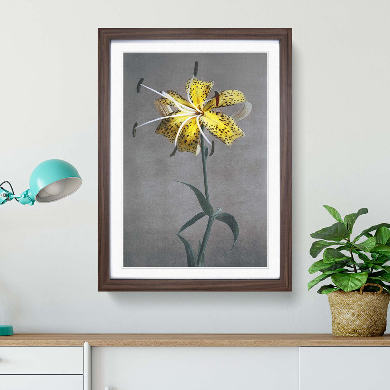 Yellow Lily by Kazumasa Ogawa - Picture Frame Painting Print, Walnut Framed, 48cm H x 36cm W x 2cm D