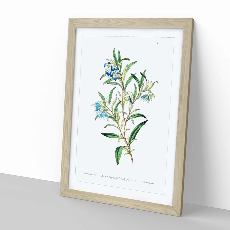 Bluebell Flowers - Framed Print, 50cm H x 35cm W x 2cm D, Oak