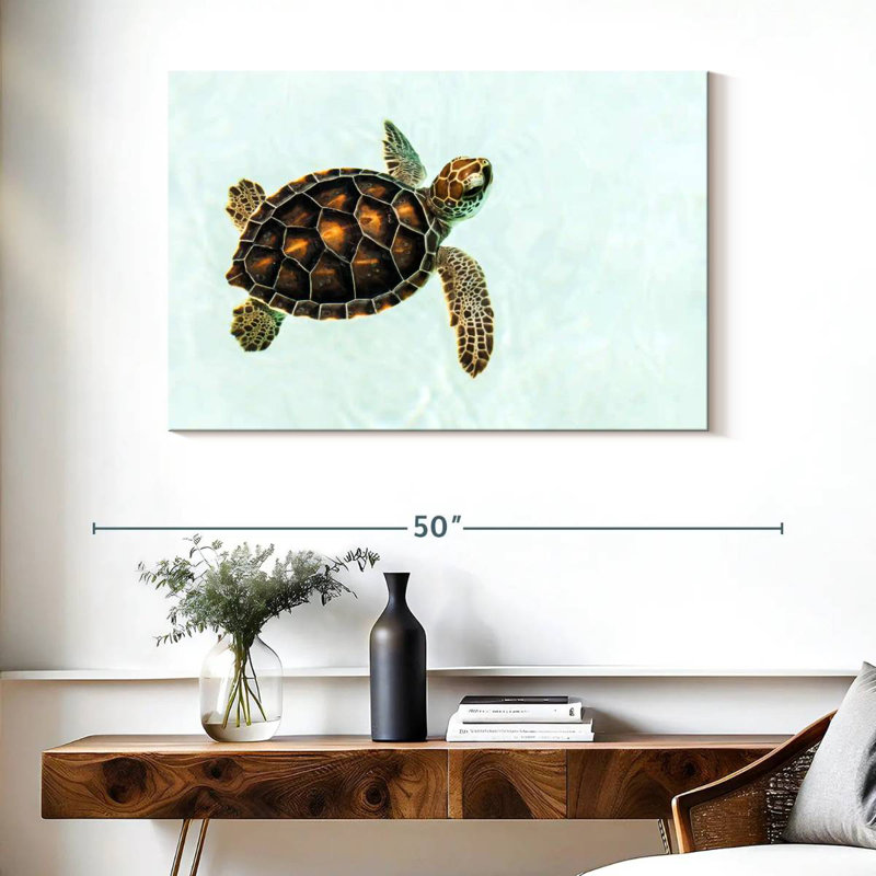 Brampt Baby Turtle