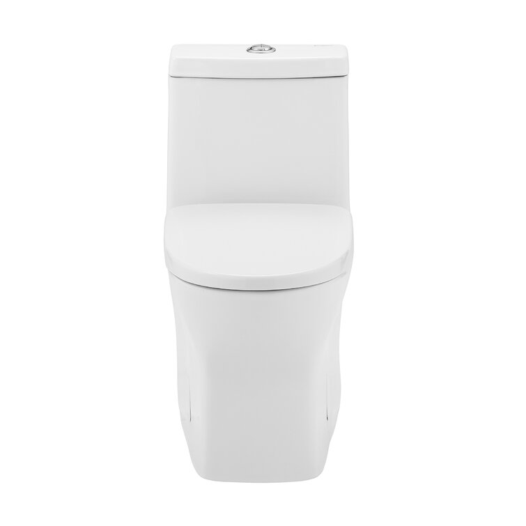 Sublime II Dual-Flush Round One-Piece Toilet (Seat Included)