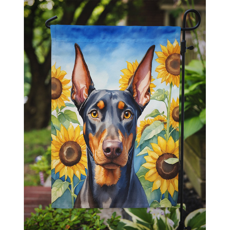 Lévrier irlandais dans le drapeau du jardin de tournesols, Doberman pinscher