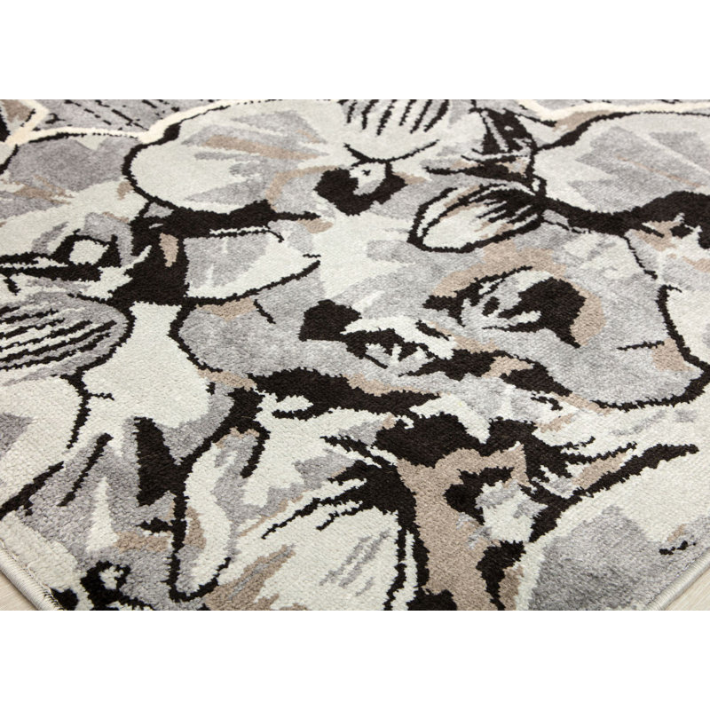 Tapis Vera Vera, Rectangle 2 pi x 4 pi