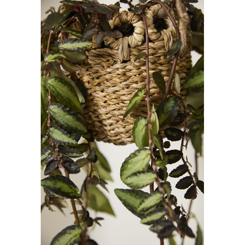 Panier suspendu Verse 8,5 po x 26 po