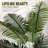 6FT Artificial Palm Tree, Indoor Faux Plant with White Planter for Home Office Decor