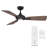 Mykonos 52" 3 - Blade Outdoor/Indoor Smart Ceiling Fan with Remote Control and LED Light Kit Included, Works With Alexa and iOS or Android App-124301847-124301846