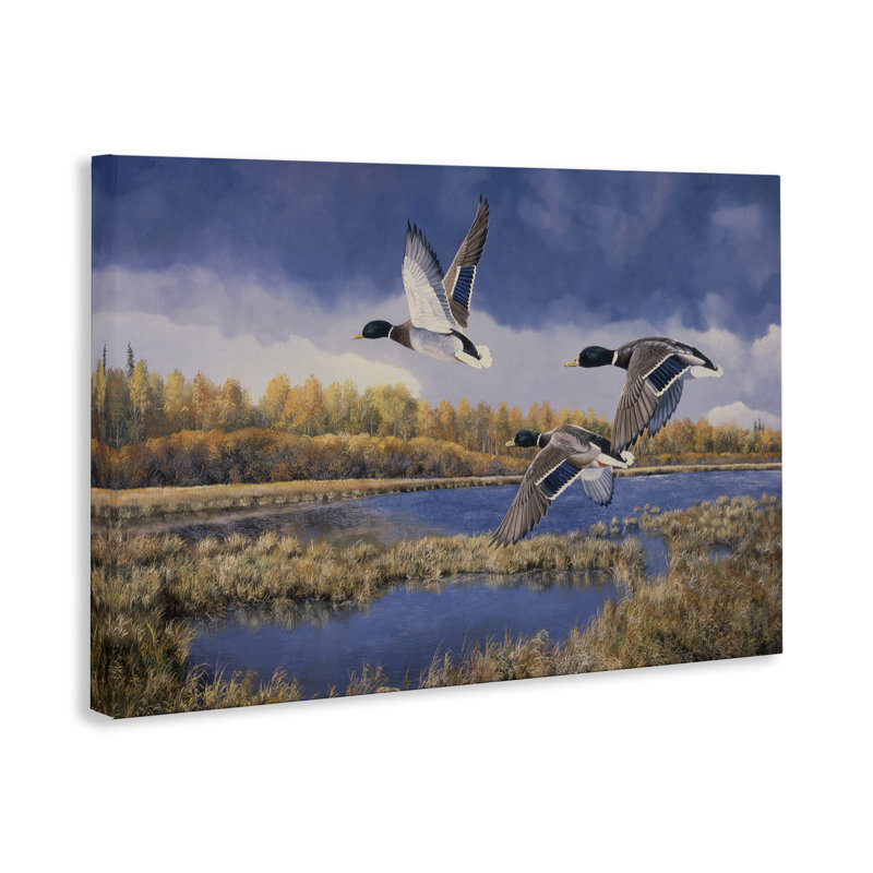«Ducks Heading South» par Andrew Kiss, H 24 po x l 36 po