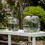 Vase de table en verre Everalda-799620717-799620714