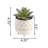 Faux Succulent Plant in Ceramic Pot-209760562-209760566