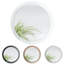 Colwich Flat Mirror-150158549-150158554