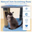 Mignon arbre à chat 31,5 po-987775134
