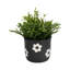  Pot à fleurs 6 "-128635685