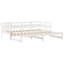 Wichita Solid Wood Daybed with Trundle-1993085640-1993085638