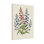 Plantes et fleurs fleurs bleues rouges avec feuilles vertes