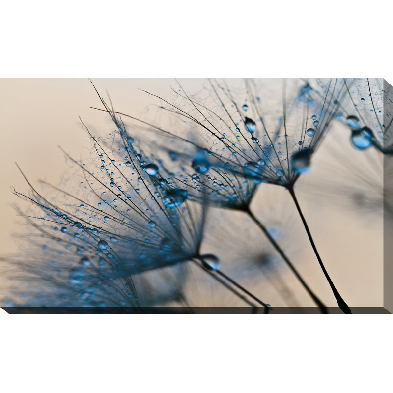 Flower Water Droplets - Wrapped Canvas Print, 28" H x 48" W x 1.5" D