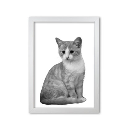 Cat - Print