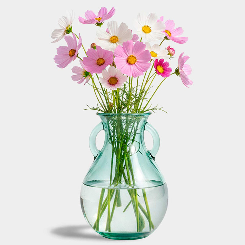 Petit vase en verre de style champêtre français, 6,25 po, capacité de 25 oz, H 6 po x l 4,75 po x P 3 po