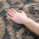 Ellyona Shag Performance Floral Rug
