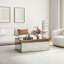 Adelais Antique Mirrored Coffee Table-1542432411