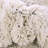 Fragos Oriental Indoor Rug-1079334576