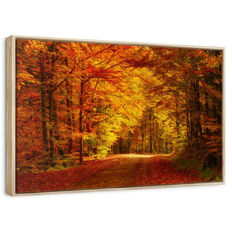 Forêt, arbres d'automne, Cadre flottant en bois naturel, 40 po x 27 po