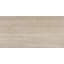 Esplanade 12" x 24" Porcelain Stone Look Wall & Floor Tile
