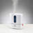 BONECO 1 Gallons Cool Mist Ultrasonic Tabletop Humidifier for 480 Cubic Feet