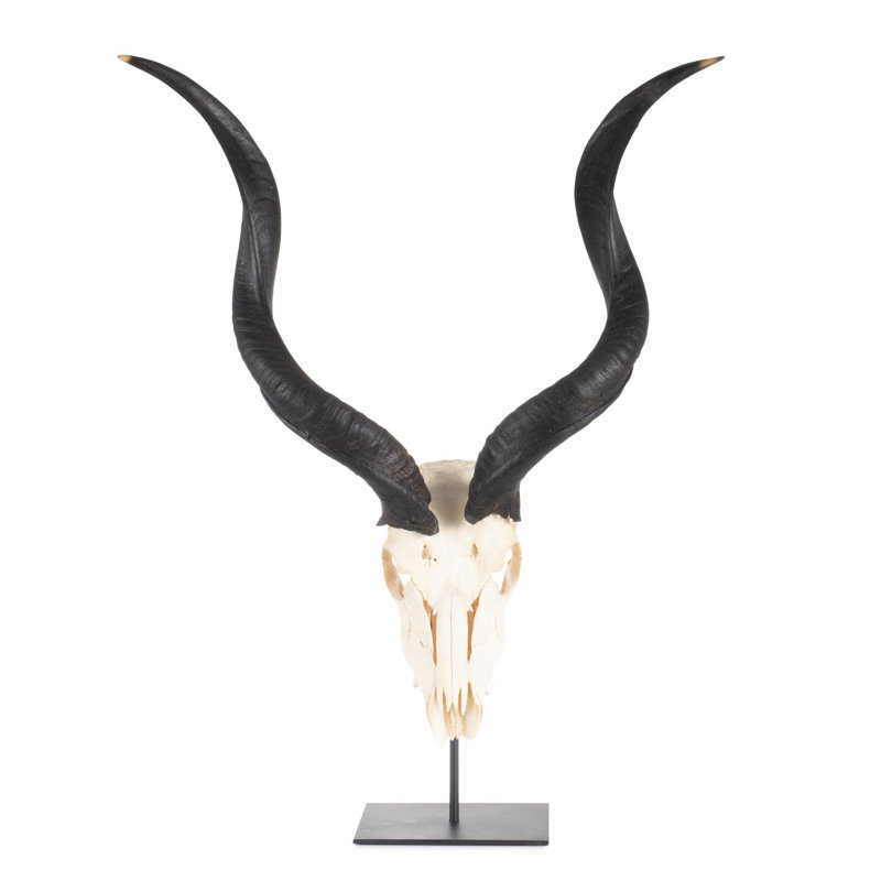 Mounted Kudu Skull, 36" H x 21" W x 10" D