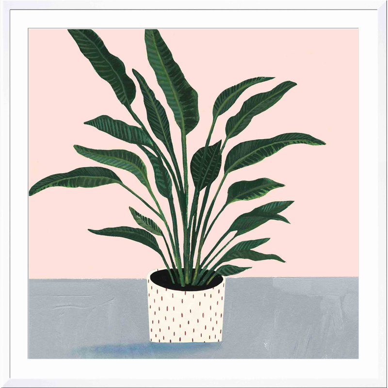 «Houseplant IV» par Victoria Borges - peinture encadrée, Blanc, H 12 po x l 12 po