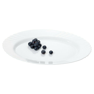 Bormioli Rocco Porcelain Glass Stainless Steel Platter and Tray Serving Dish