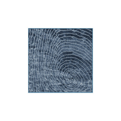 Machine Washable Blue Area Rug