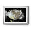 Imprimé WHITE PEONY-869220149-869220145