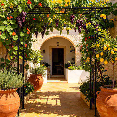 Ensemble de 2 treillis en arche de jardin en métal pour plantes grimpantes, tonnelle en acier noir à largeur réglable de 42,52 à 78,15 po avec support galvanisé antirouille, support pour plantes d'extérieur pour roses, lierre, clématites, jasmin, vignes