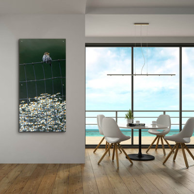 Latitude Run® «House Sparrow & Daises» par Ron Parker, verre acrylique Wal Art