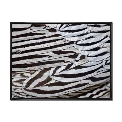 «Silver Pheasant Feathers», peinture sur toile encadrée