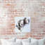 «Animals Sleeping Pitbull Dogs and Puppies», reproduction d'impression sur toile-731037175-711389255
