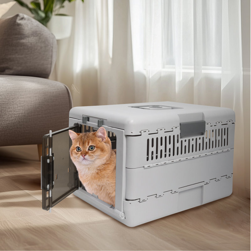 Pet Carrier Plastic Collapsible Pet Carrier