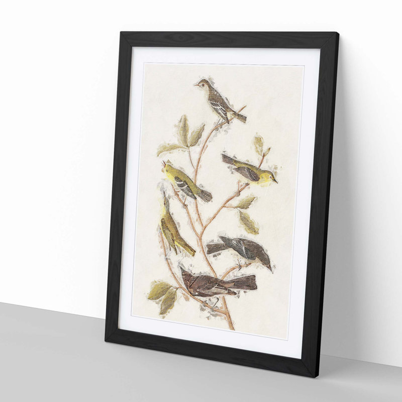 Collection of Birds by John Audubon - Picture Frame Painting, 65cm H x 48cm W x 2cm D, Black Framed