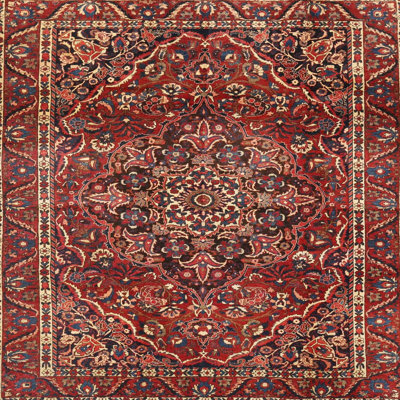 Aquarius Oriental Indoor Rug