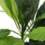 125cm Faux Foliage Plant in Pot Liner