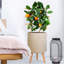 Concrete Effect Cylinder Round Planter on Hardwood Legs, Round Indoor Plant Pot Stand for Indoor Plants, Indoor Flower Pot with Plaited Pattern-703551392-703551397
