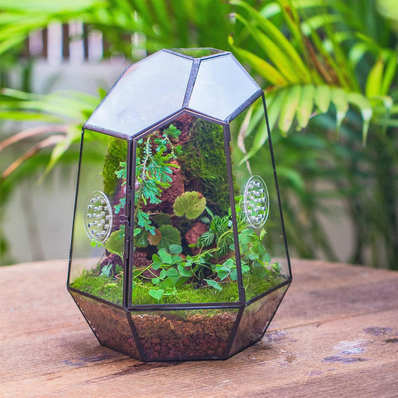 Closed Geometric Glass Enclosure With Front Opening Door