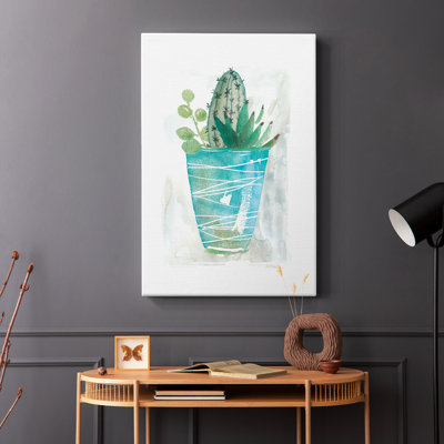 Cactus d'été - Cavas enveloppés de galerie