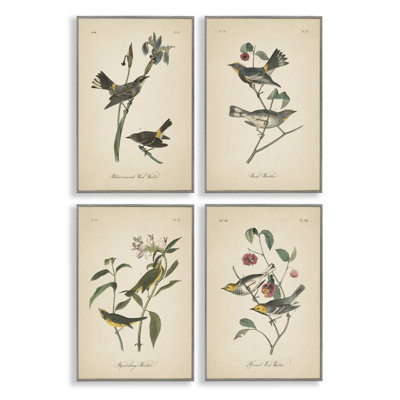  «Vintage Study Birds & Plants», ensemble de 4 giclées par Wild Apple