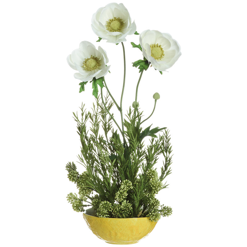 Anemone Astilbe In Lemon