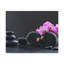 Wall Art on Canvas-316842436