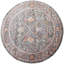Hand Knotted Area Rug in Brown/Beige