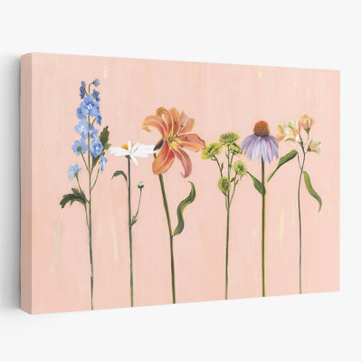 Plantes, fleurs, paysage, nature, rêves d'été